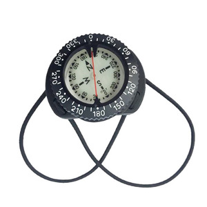 Compass with Bungee Mount